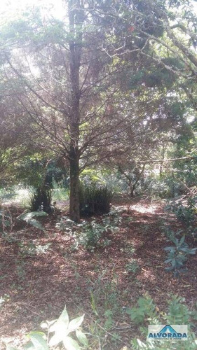Imagem 2 de 7 de Chácara Residencial À Venda, Sítio Adriana, Caçapava. - Ch0045