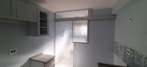 Imagem 28 de 30 de Apartamento Para Aluguel Em Vila Nova Teixeira - Ap002501