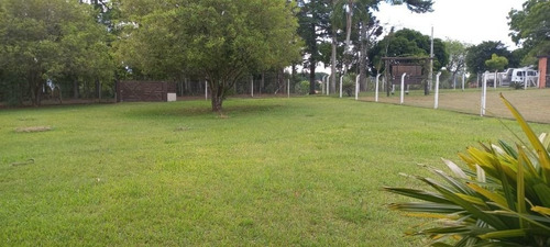 Imagem 4 de 30 de Chácara À Venda, 4000 M² Por R$ 450.000,00 - Cadiz - Gravataí/rs - Ch0004