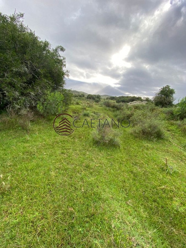 Imagen 3 de 4 de Venta De Campo, Maldonado - Mataojo - 33hs - Zona Rural