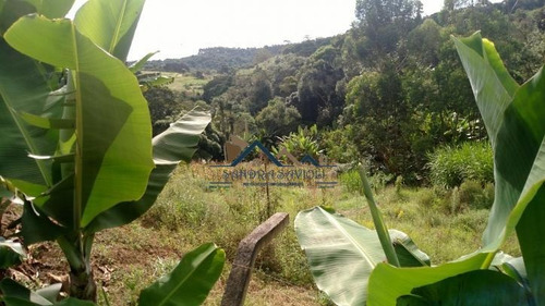 Imagem 12 de 15 de Área No Centro De Caucaia. Oportunidade Para Investir! - 202