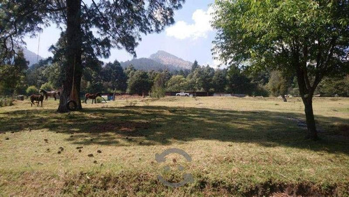 Se Vende Rancho En San Miguel Ajusco Tlalpan Cdmx