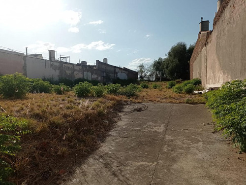 Imagen 2 de 3 de Terreno En Venta / Alquiler - San Martin