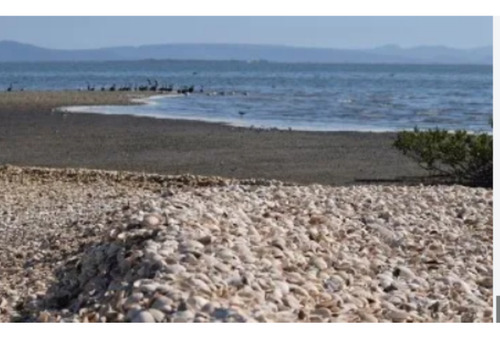 Sinaloa Isla De Tachichitle Terreno Venta Angostura