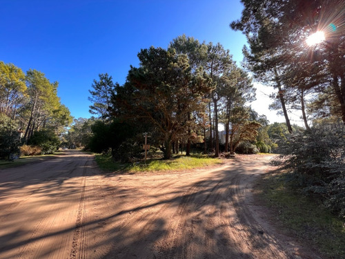 Imagen 2 de 16 de Lote En Carilo Hornero Y Paraíso