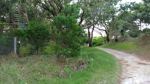 Imagen 3 de 7 de Terreno - Aguas Verdes