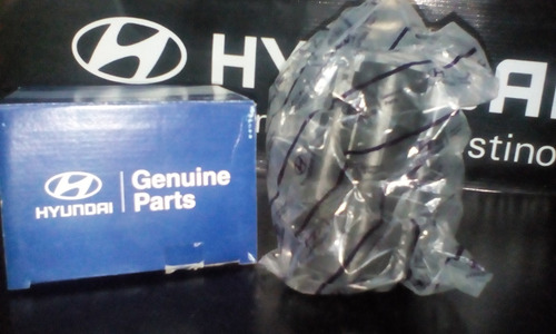 Filtro Gasolina Hyundai Santa Fe 2.7 01-05