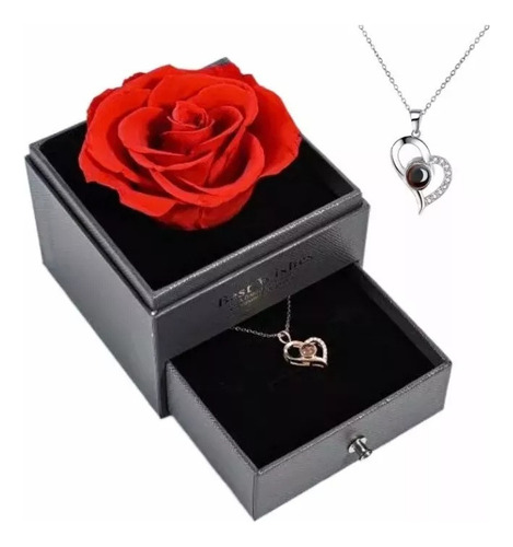 Rosa Eterna Real Preservada + Collar Te Amo En 100 Idiomas G