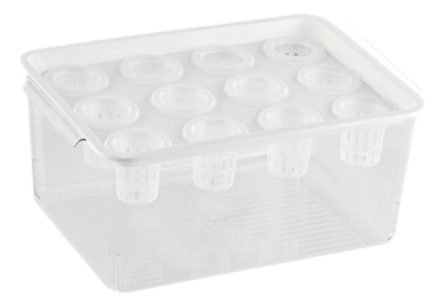 Caja De Hidropónico, Contenedor De Plantación De