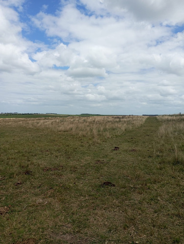 Se Vende Gran Campo En El Departamento De Florida. Superficie De 150 Hectáreas. Está Todo El Predio Alambrado, Tiene Tajamares. Tiene La Gran Ventaja Y Facilidad De Acceso Directo Por 2 Rutas.