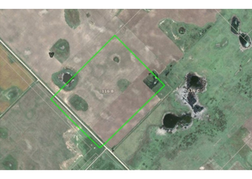 Imagen 6 de 6 de Vendo Campo 30ha/ Bermúdez (pdo. De Lincoln)