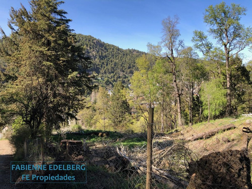 Imagen 4 de 30 de Terreno Apto Desarrollo Lote Centro 6686 M2 - San Martin De Los Andes