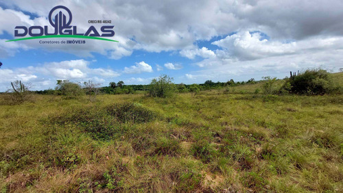 Imagem 4 de 15 de 4 Hectares Ótima Localização - 1714