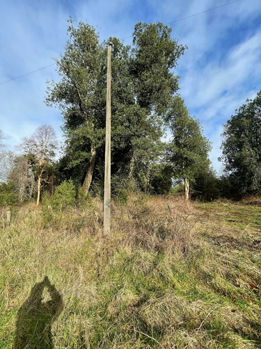 Parcela 6300m2 Arboles Nativos (105986)