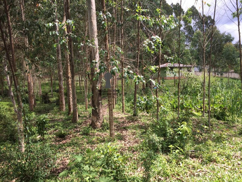 Chácara A Venda No Bairro Centro Em Bocaiúva Do Sul - Pr. - 407-1
