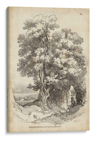 Canvas Lab Cuadro Árbol Noble Ii 110x165, J.d. Harding
