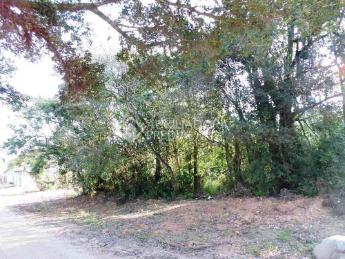 Imagem 8 de 10 de Terreno - Belem Novo - Ref: 226051 - V-226051