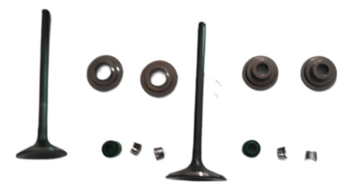 Valvulas Vortex 200 (incluye Sellos,retenes,seguros)original