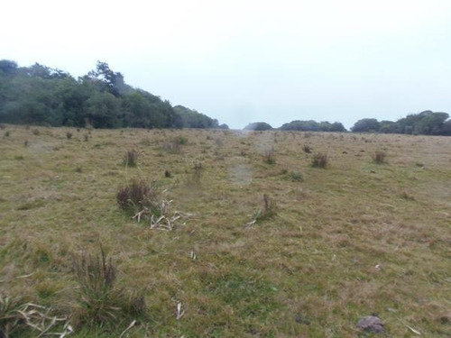 Campo En Venta En Lavalleja, 121 Hectáreas