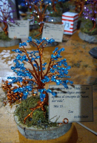 50 Arbolitos De 9cm + Arbol Central De 20cm
