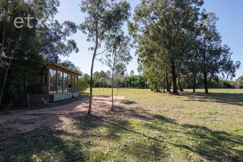 Imagen 5 de 26 de Chacra En Venta Mangrullo Punta Piedras