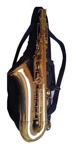 Sax Tenor Michael Wtsm35 Usado
