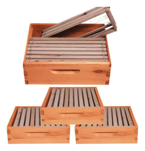 comprar 4 Sobre Caixa Melgueira Abelha Langstroth Quadros Com Arame