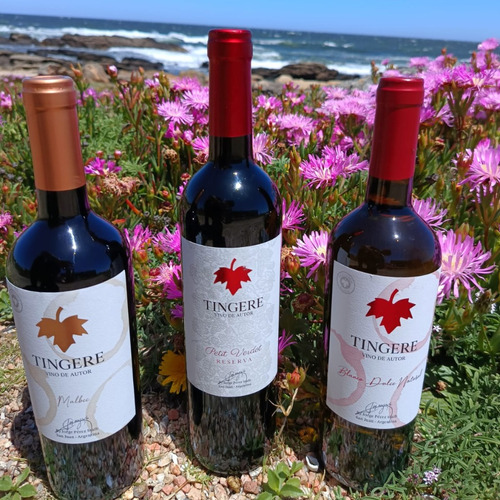 Vino De Autor Blanco Dulce Natural 750 Ml Tingere
