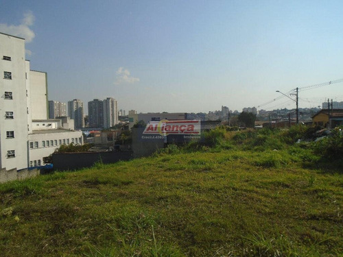 Area Excelente - Ai4495