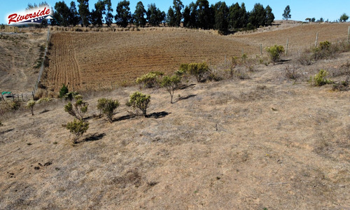 Parcela Con Vista Panorámica, Entre Paredones Y Bucalemu