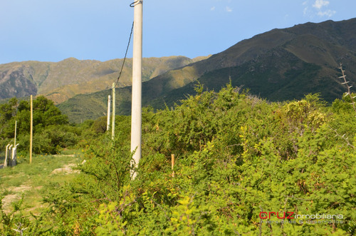 Imagen 3 de 14 de Lote De 5024m2 En Zona Alta De Carpintería