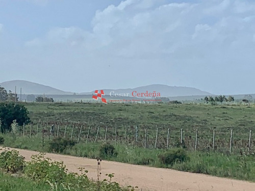 Venta - 5 Has En Sierra De Los Caracoles- Ref: 1568