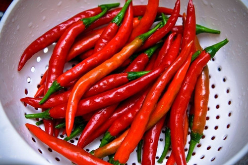 150 Sementes Pimenta Caynna Alongada.