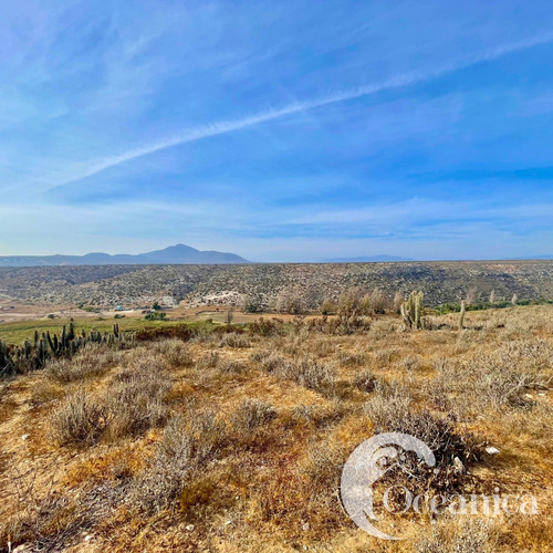 Terreno En Venta En Tongoy Región De Coquimbo
