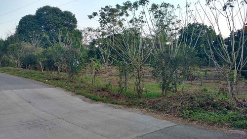 Venta Terreno 5000 M2 Frente Al Estero De Juana Moza Tuxpan Veracruz