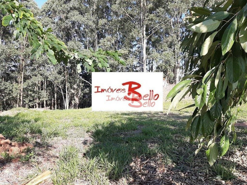 Imagem 3 de 4 de Terreno À Venda, 2857 M² Por R$ 572.000 - Condomínio Vale Da Santa Fé - Vinhedo/sp - Te0837