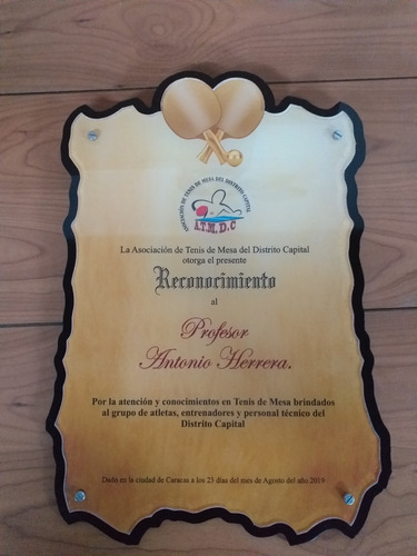 Placas De Reconocimientos En Acrílico Tamaño H2 (21x26)