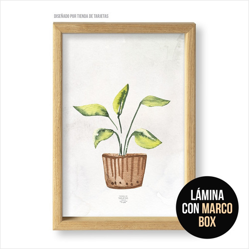 Imagen 1 de 4 de Cuadro Marco De Madera + Vidrio - Macetas Plantas Modelo J