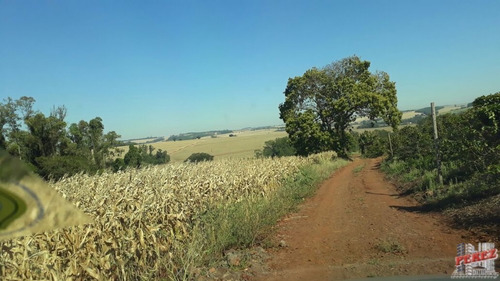 Imagem 14 de 30 de Chácaras_sítios_fazendas Para Venda - 13650.3266