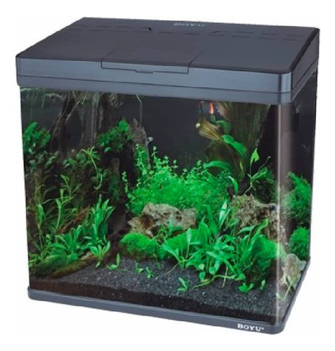Acuario Boyu Ms-320m De 20 Lts Con Led Y Filtración Color Negro