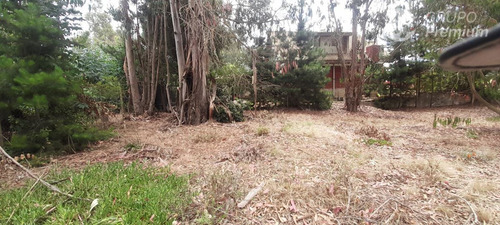 Sitio En Venta En El Quisco