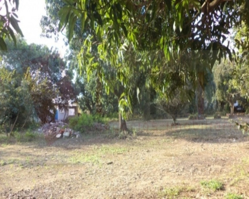 Imagem 9 de 11 de Área - 837 - 32401177