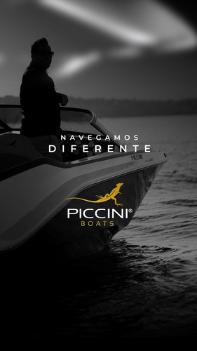 Lancha Piccini 190s + Mercury 115hp 4t + Apto 10 Pasajeros