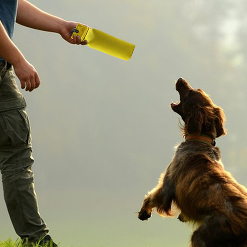 3 Dog Bite*dog Bite Tug Toy Para Perros Pequeños Y Medianos