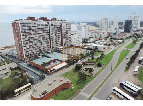Imagen 16 de 30 de Torre De 5 Estrellas, A Pasos De Av Gorlero, Espectacular Apartamento A Estrenar De Dos Dormitorios En Suite, Baño Social, Living Comedor,cocina