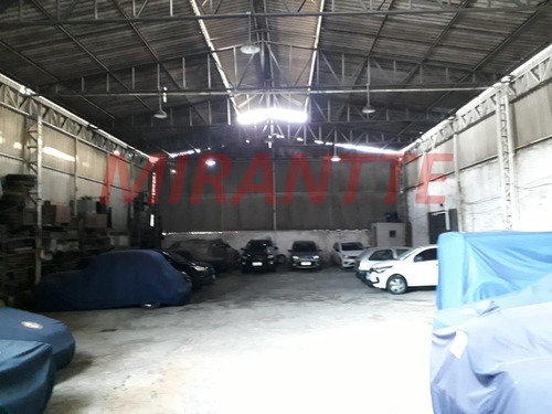 Imagem 4 de 8 de Terreno Em Casa Verde - São Paulo, Sp - 359252