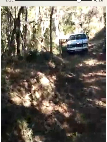 Imagem 6 de 9 de Sítio 10 Hectares No Sul De Mg
