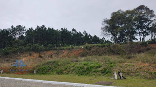 Imagem 2 de 18 de Terreno À Venda, 455 M² Por R$ 786.000,00 - Itacorubi - Florianópolis/sc - Te0225