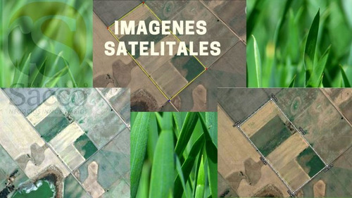 Imagen 14 de 14 de Campo Agrícola Ganadero En Venta En #pellegrini