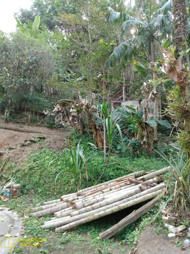 Imagem 7 de 13 de Ótimo Sítio Na Taquara! - Ci2095